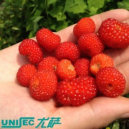 這個(gè)五一勞動(dòng)節(jié)，尤薩人帶著家人出游